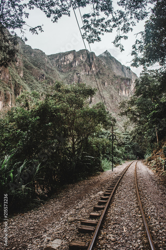 Train track through the jungle that leads from the Hidroelectrica plant to Aguas Calientes, that thousands of tourists walk along each week to get to Machu Picchu