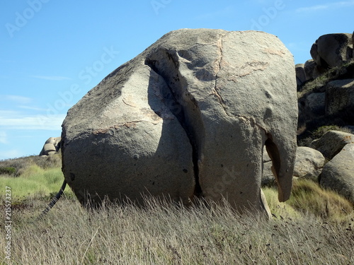 Elephant Iles Lavezzi Bonifacio Corse