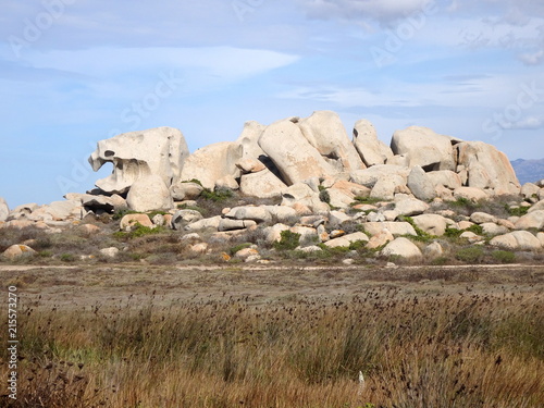 Dinosaure - Iles Lavezzi - Bonifacio Corse