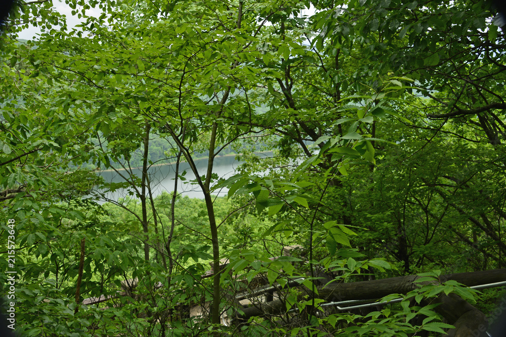 Fototapeta premium View from the overlook on a cloudy day at the Allegheny National Forest