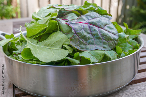 Canvas-taulu Cooking with mixed greens in stainless steel pan