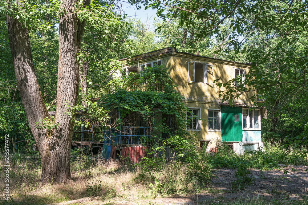 The abandoned building stands among the big trees. The abandoned building stands among the big trees.