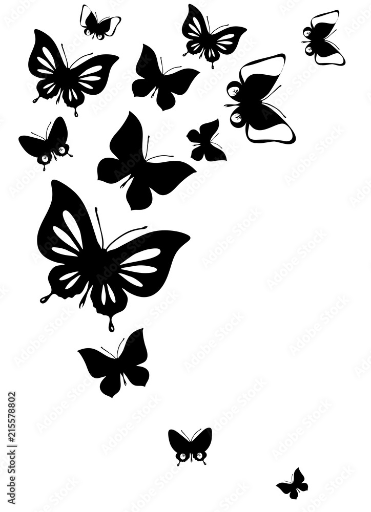 black butterfly, isolated on a white black butterfly, isolated on a white