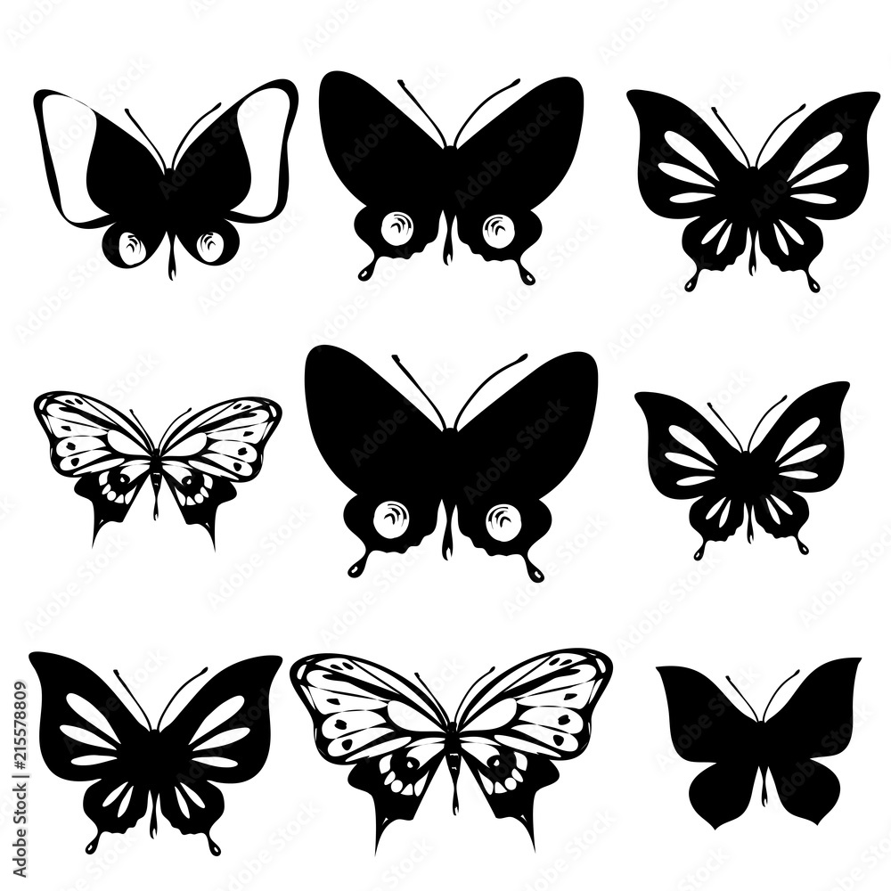 black butterfly, isolated on a white black butterfly, isolated on a white