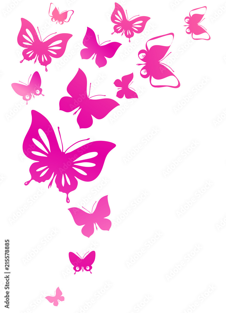 beautiful pink butterflies, isolated on a white beautiful pink butterflies, isolated on a white