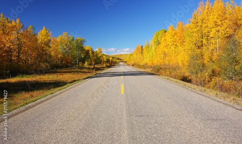 A road trip through autumn colors.