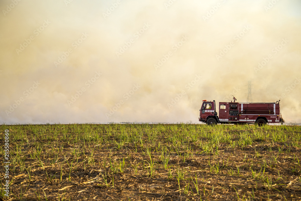 Obraz premium Sugar cane Fire plantation