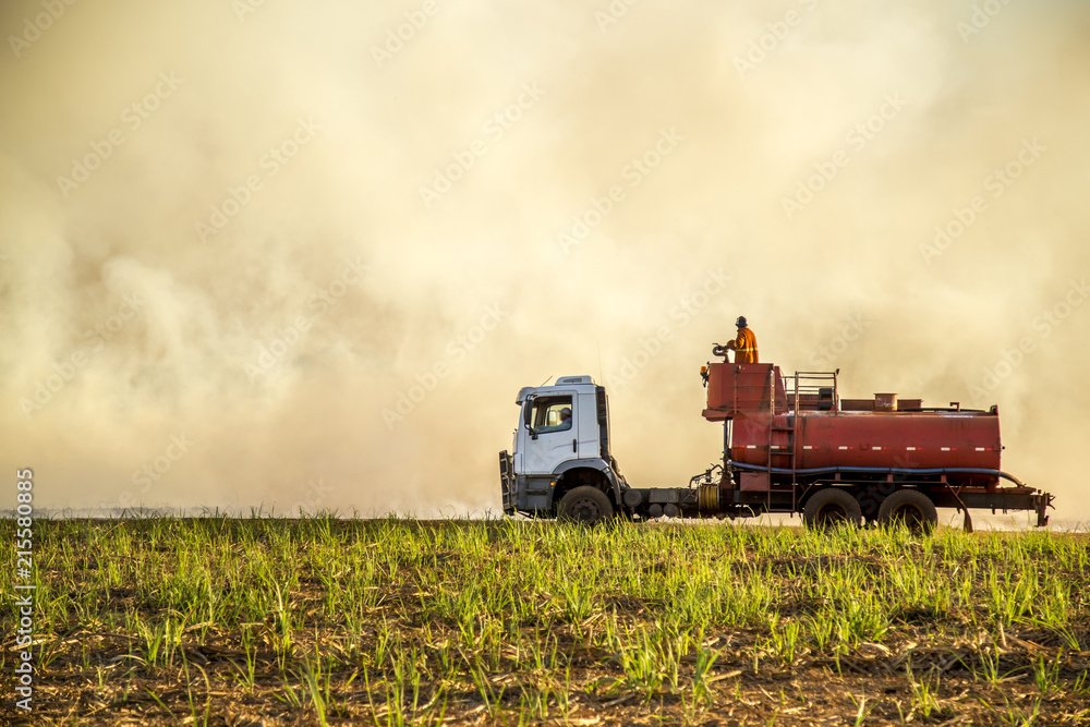 Fototapeta premium Sugar cane Fire plantation