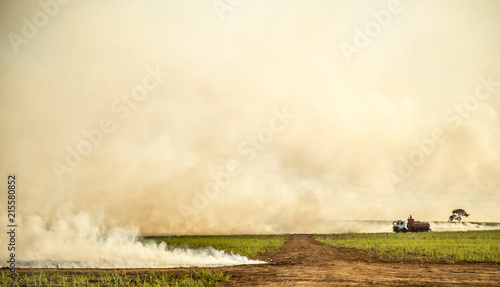 Sugar cane Fire plantation
