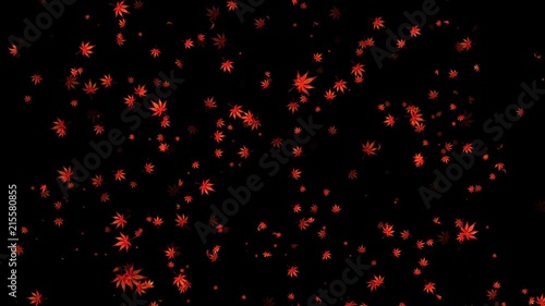 紅葉 パーティクル