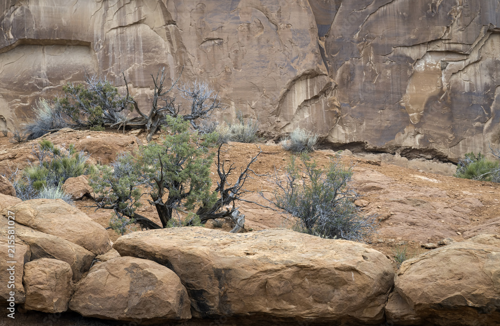 Rock Formations and brush in Arches National Park, Moab, Utah Rock Formations and brush in Arches National Park, Moab, Utah