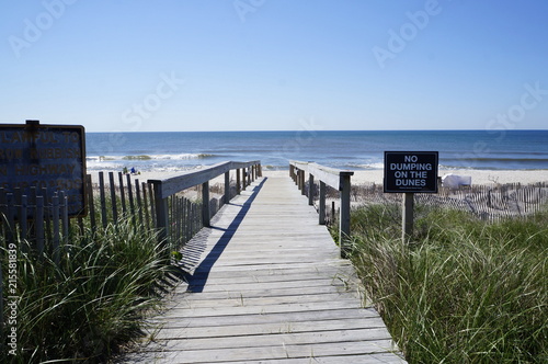 Fire Island, NY 2016.
