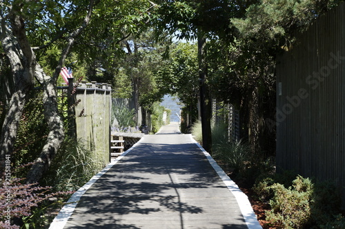 Fire Island, New York.