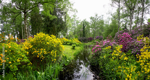 Surreal panorama of clusters   clusters of manicured multicoloured blooms - yellows  orange  lilac  bright pink . The green foliage   the water body  looking like a mini river  add enormous weightage