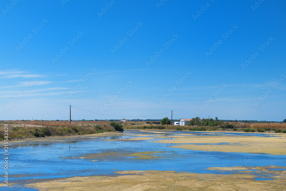 Ile de Ré landscape with salt