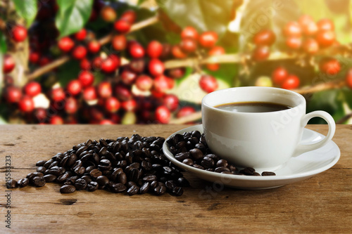 Coffee cup and coffee bean on rustic wooden table on blurred coffee tree background with copy space. Relaxing time with coffee in the morning concept.