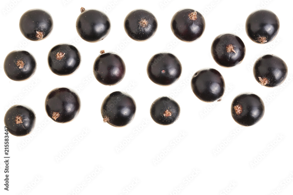 black currant isolated on white background with copy space for your text. Top view. Flat lay pattern black currant isolated on white background with copy space for your text. Top view. Flat lay pattern