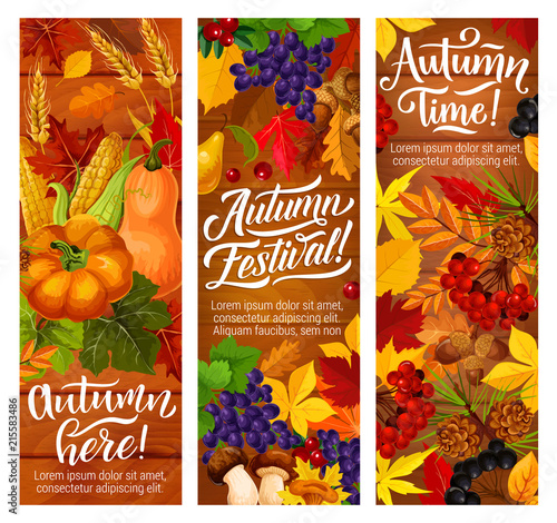 Autumn fallen leaves banners for harvest festival
