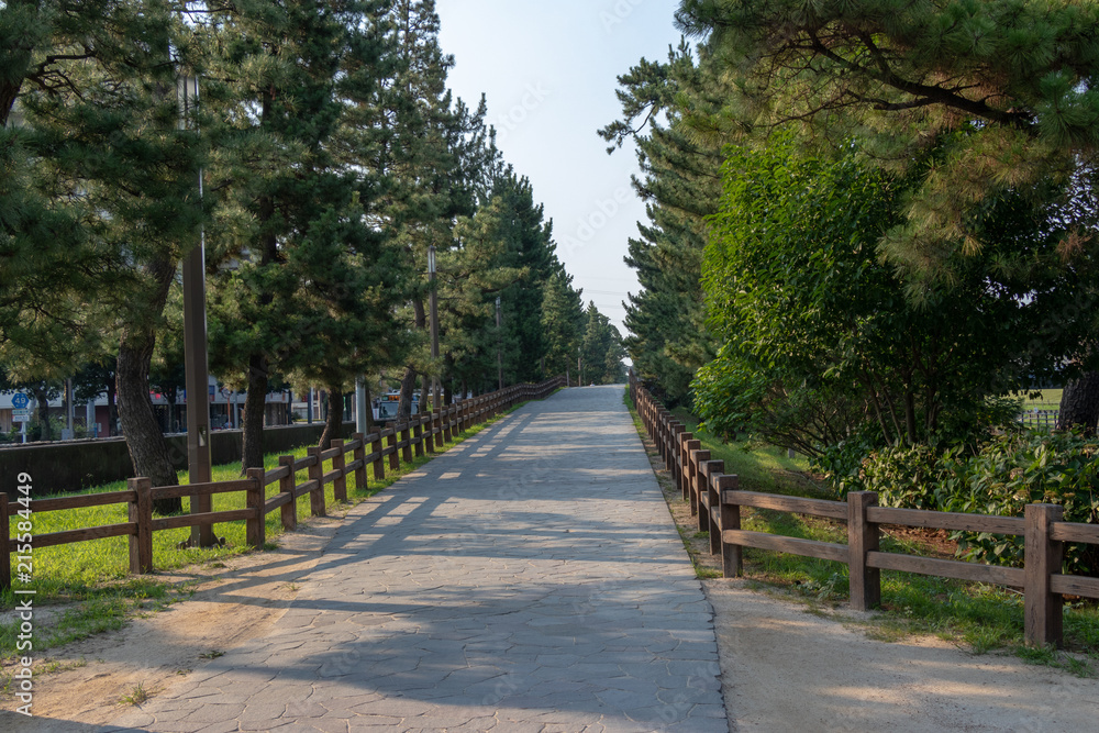 Soka Matsubara Promenade, Soka city, Saitama, Japan