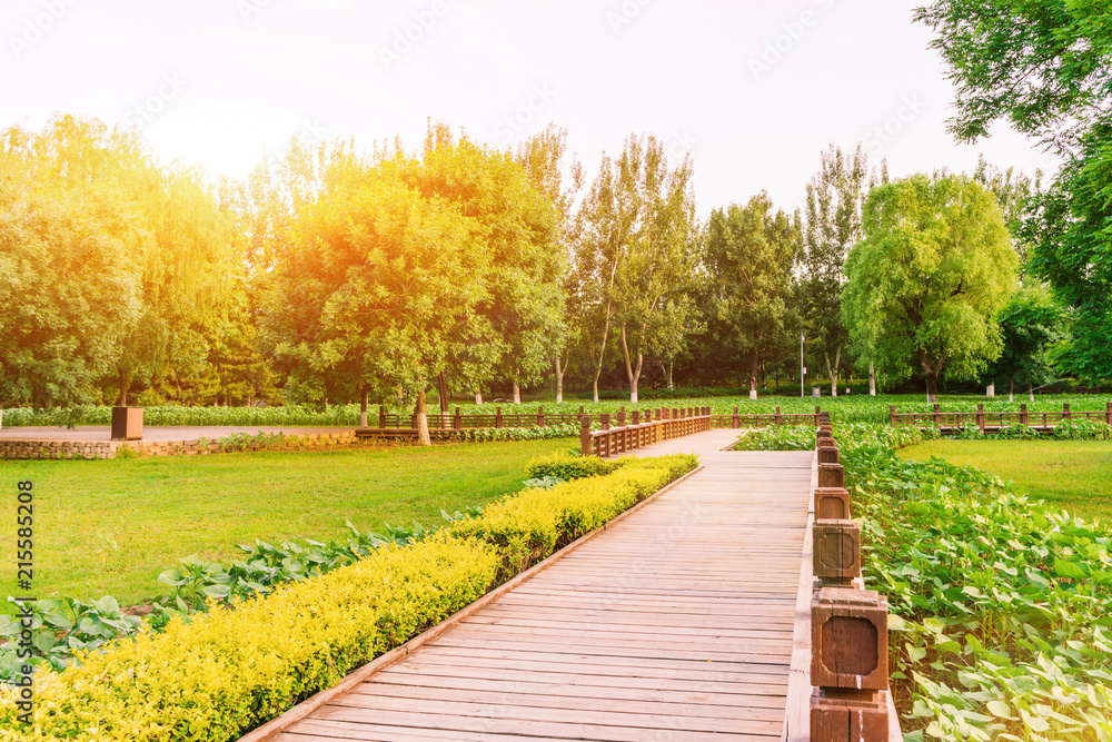 Fototapeta premium Park trestle at sunset