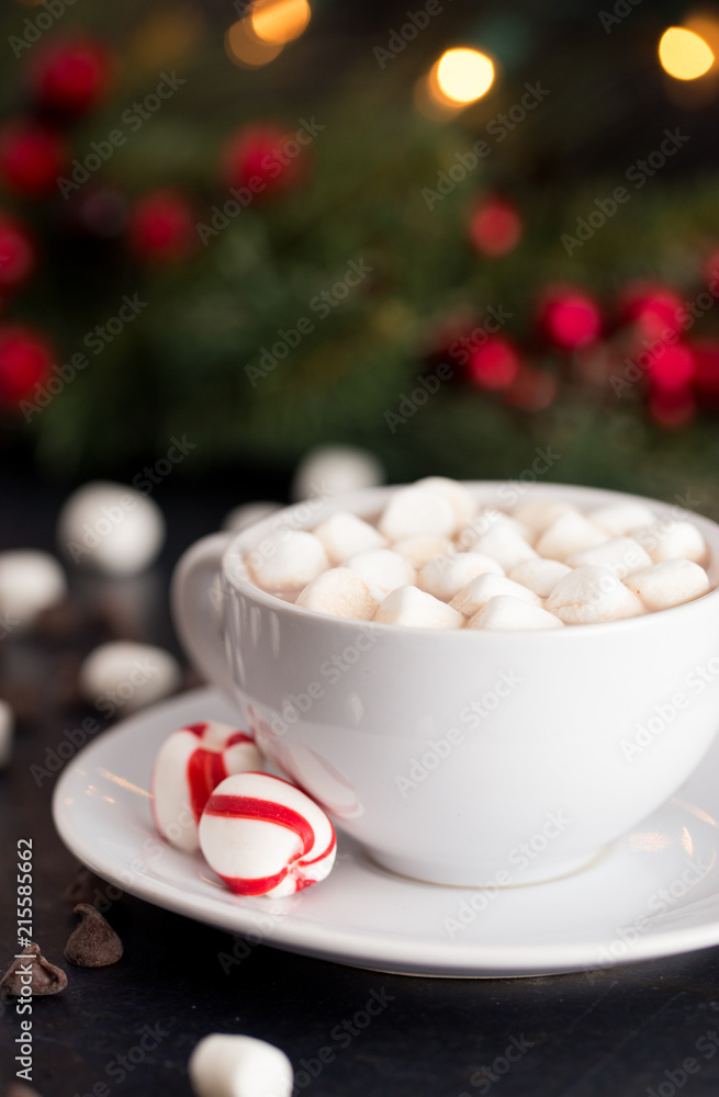 Hot Chocolate and Marshmallows on a Table set for the Holidays Hot Chocolate and Marshmallows on a Table set for the Holidays