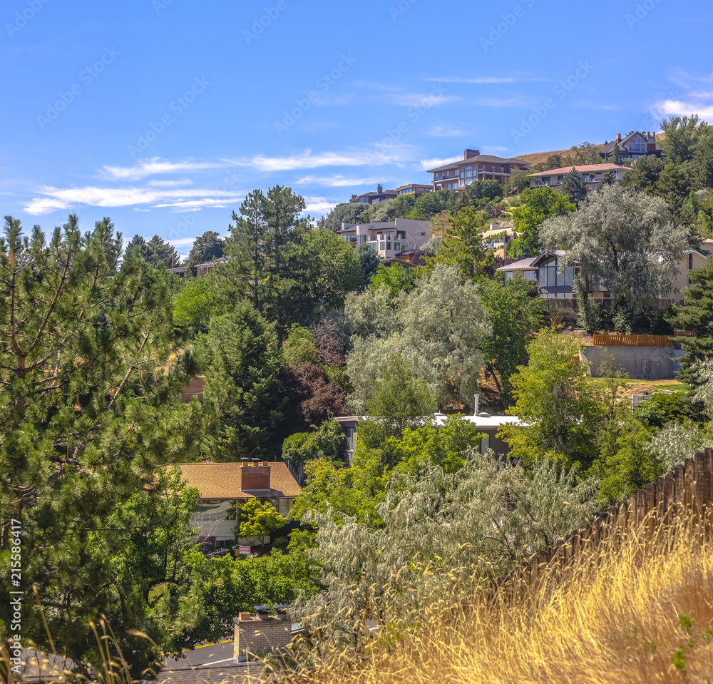 Salt Lake homes in the trees on hill