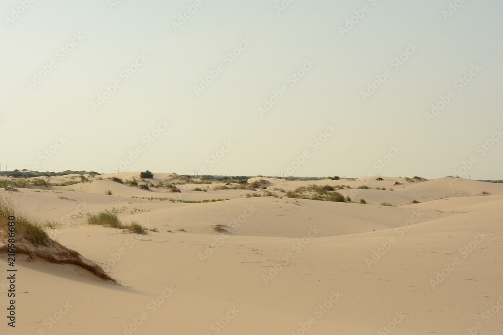 Monaghans Sandhills Sate park, Tx.
Dunes and grass in the sand
