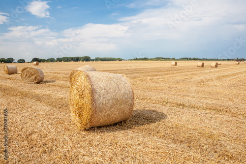 An hay bale