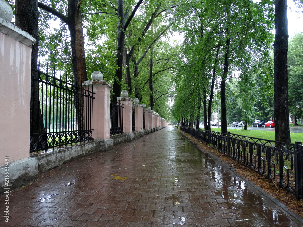 Streets of the city in rain. Ekaterinburg