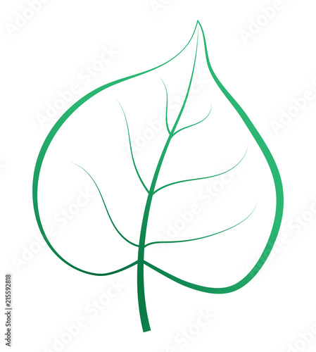 One green leaf isolated. Vector silhouette.