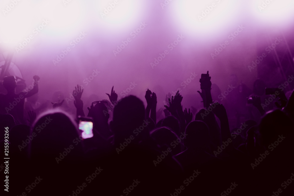 Crowd at concert - summer music festival Crowd at concert - summer music festival