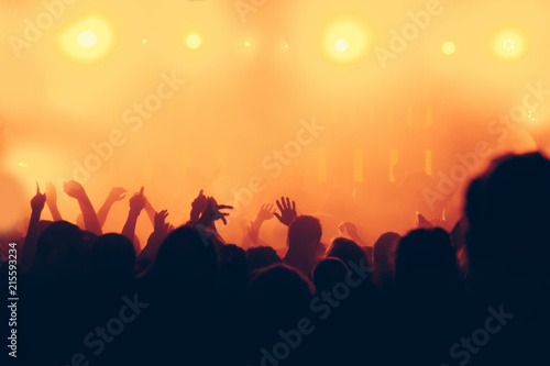 Concert crowd background