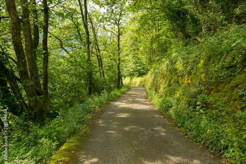 Way of santiago in the pirneos by valcarlos