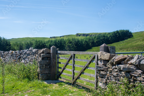 Yorkshire dry stone wall with gate in center © pauws99