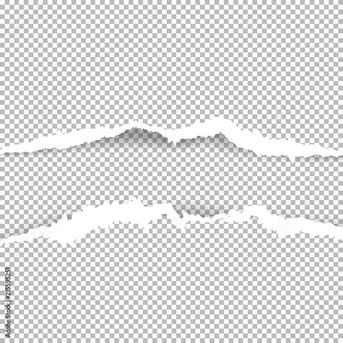 Torn paper with ripped edges with shadow on transparent background. Graphic concept for your design
