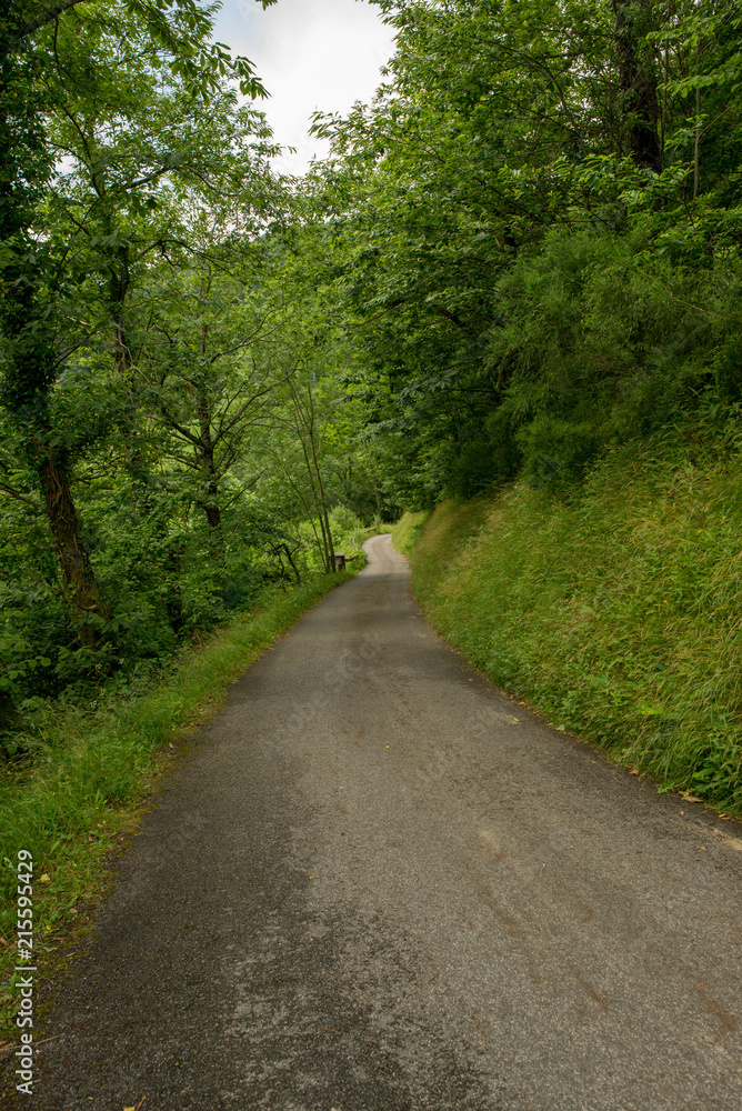 Way of santiago in the pirneos by valcarlos