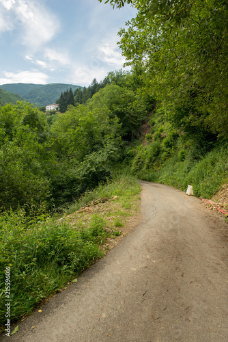 Way of santiago in the pirneos by valcarlos