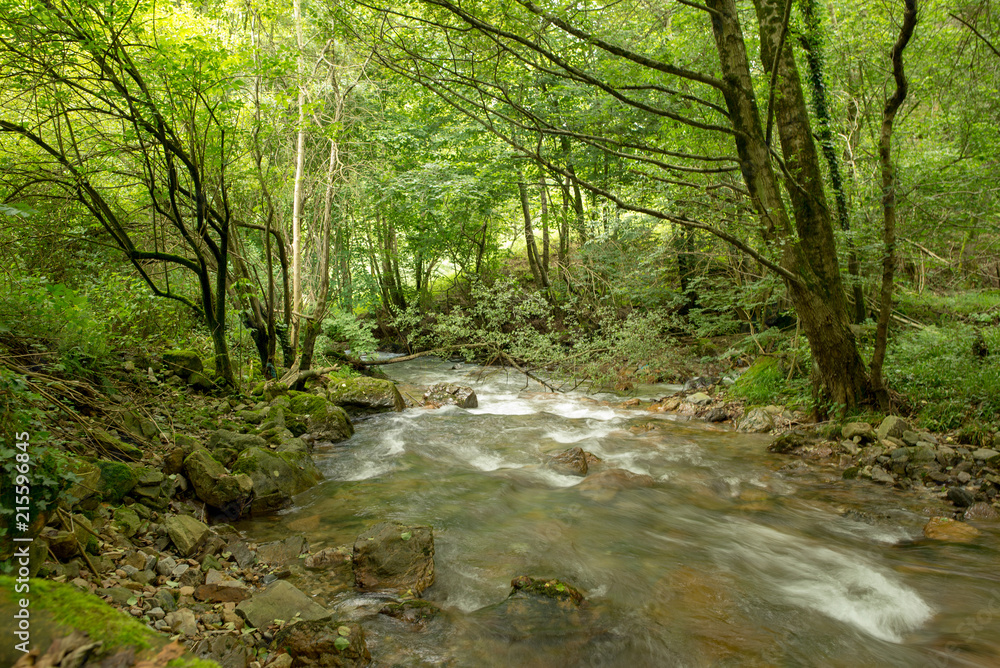 Way of santiago in the pirneos by valcarlos Way of santiago in the pirneos by valcarlos