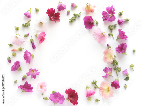 Photos Composition pattern from plants, wild flowers and  berries, isolated on white background, flat lay, top view