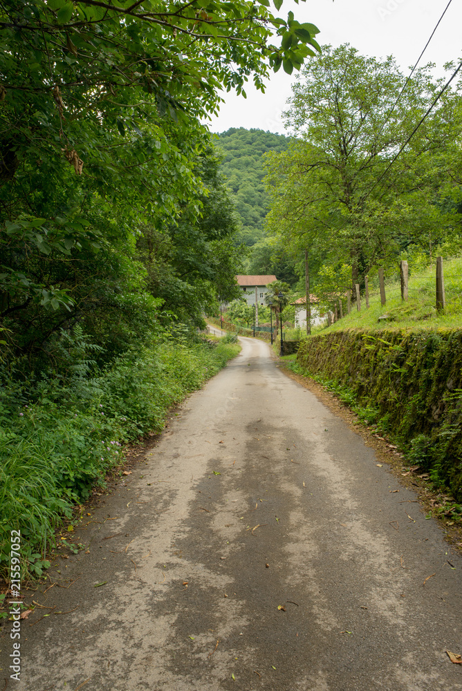 Way of santiago in the pirneos by valcarlos