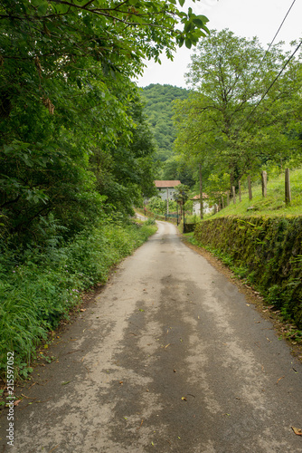 Way of santiago in the pirneos by valcarlos