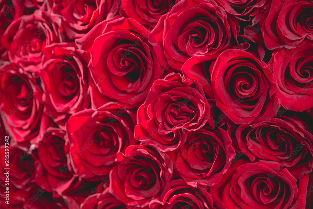 fresh dark red roses close up texture background for St. Valentine's Day fresh dark red roses close up texture background for St. Valentine's Day