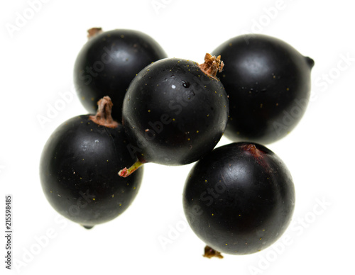 black currant on white background