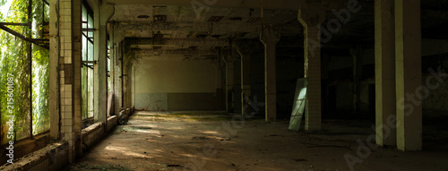 Industrial interior at the old electronic devices factory with big windows and empty floor. Interior inside an abandoned factory, overgrown with green moss and plants. photo