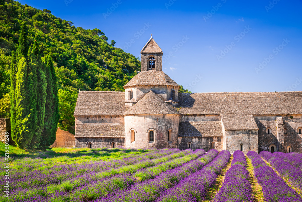 Abbaye de Senanque, Provence lavender in France