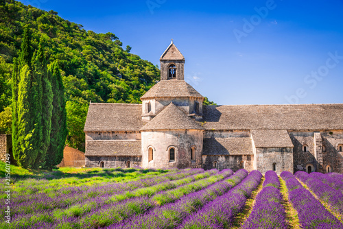 Abbaye de Senanque, Provence lavender in France photo