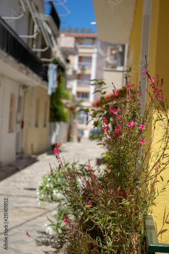 Fototapeta Naklejka Na Ścianę i Meble -  Greek street