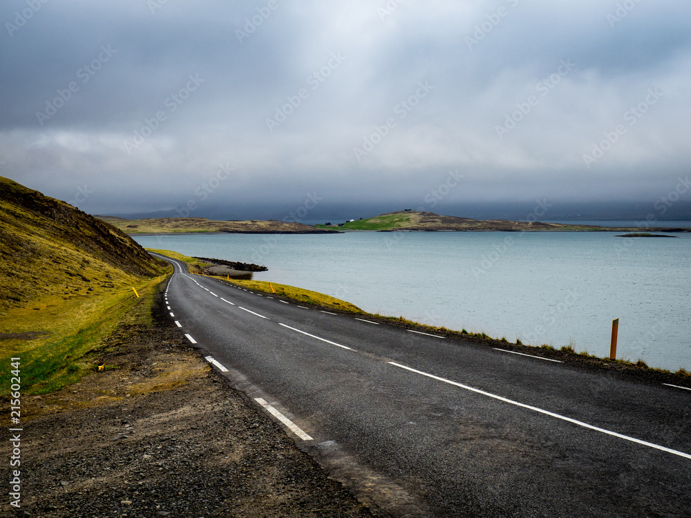 Road through volcanic landscape in Iceland
