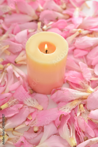 Pile of pink tropical petals and candle 