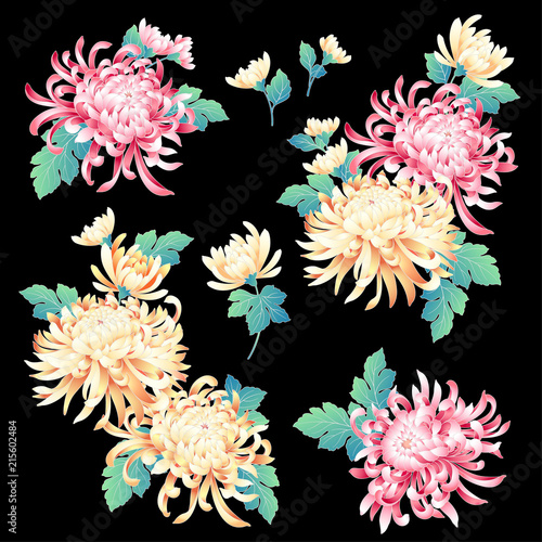 日本的な菊の素材